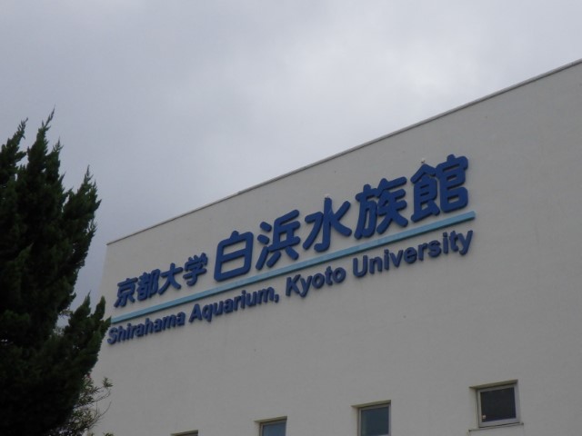 京都大学白浜水族館