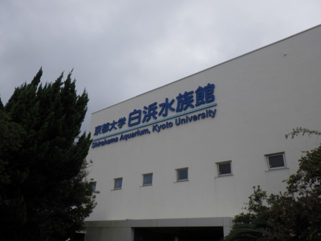 京都大学白浜水族館