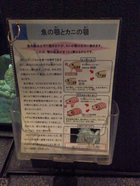 水槽解説ファイル