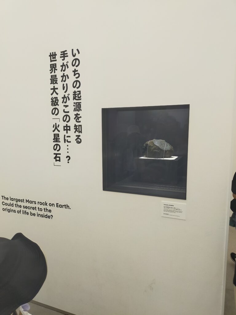 火星の石